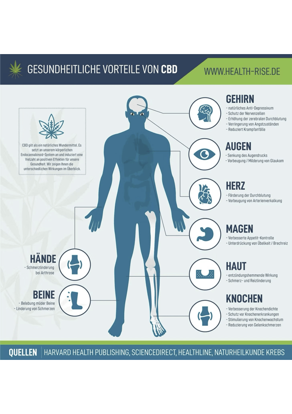 CBD Wirkung